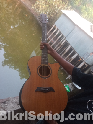 Guitar